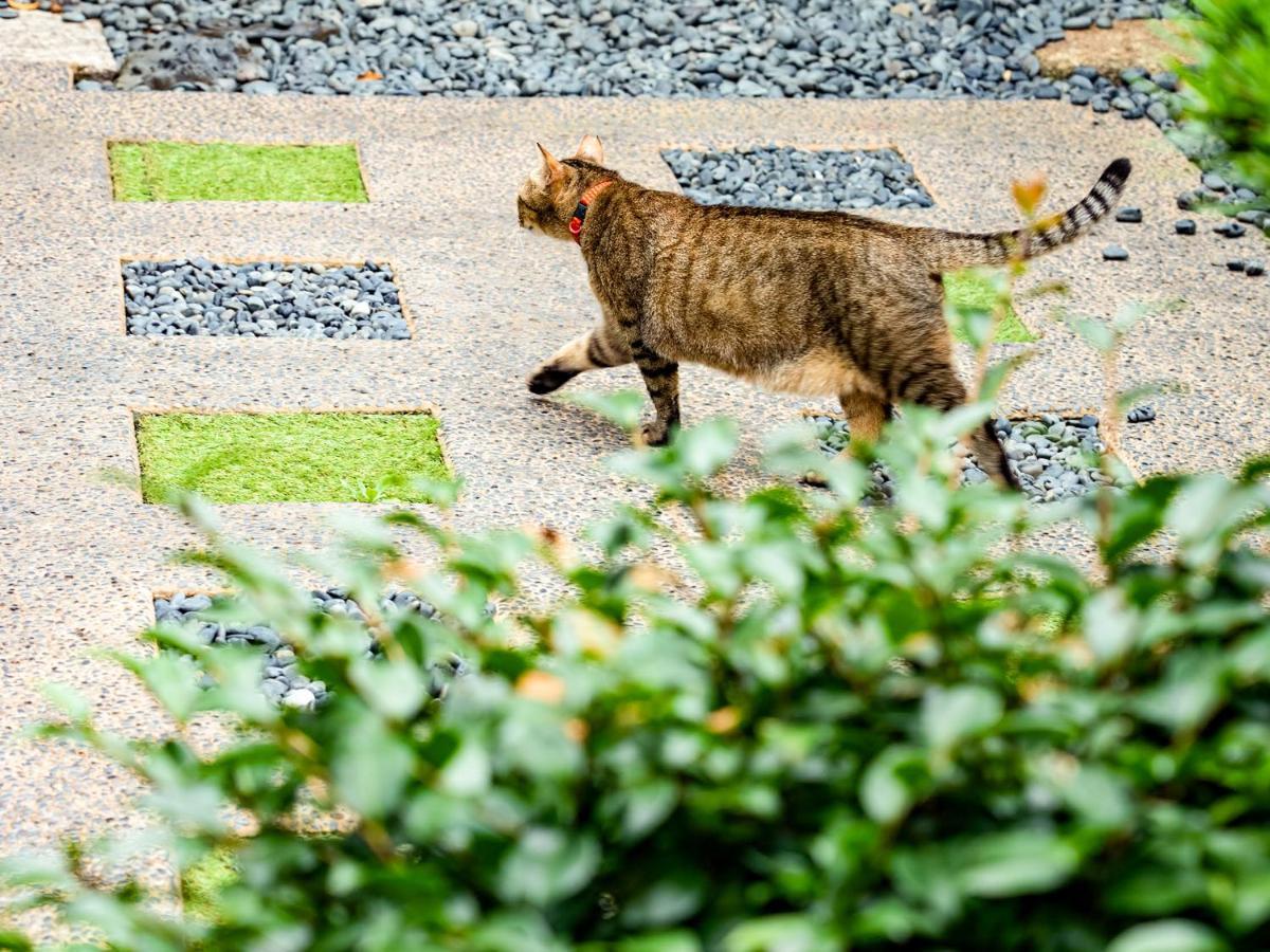 Udatsuya Osaka Dış mekan fotoğraf